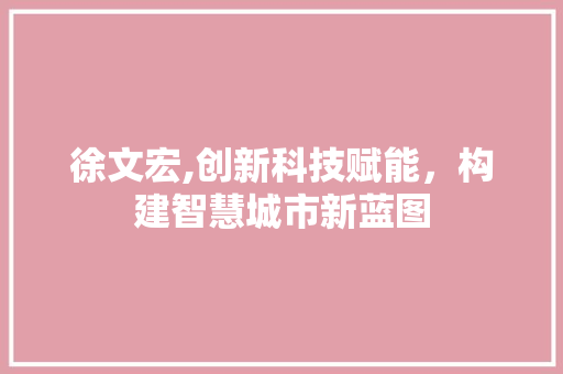 徐文宏,创新科技赋能，构建智慧城市新蓝图