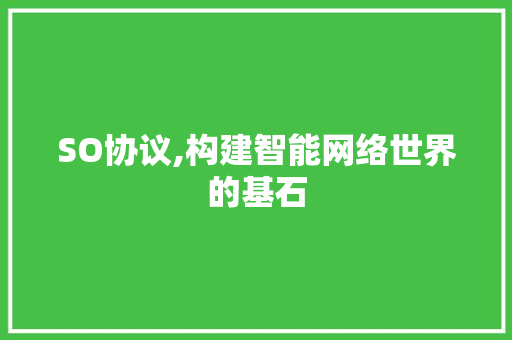 SO协议,构建智能网络世界的基石