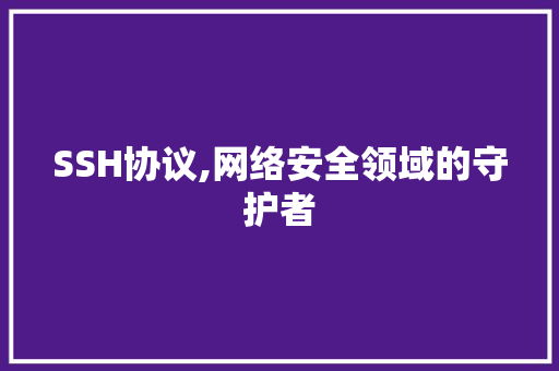 SSH协议,网络安全领域的守护者