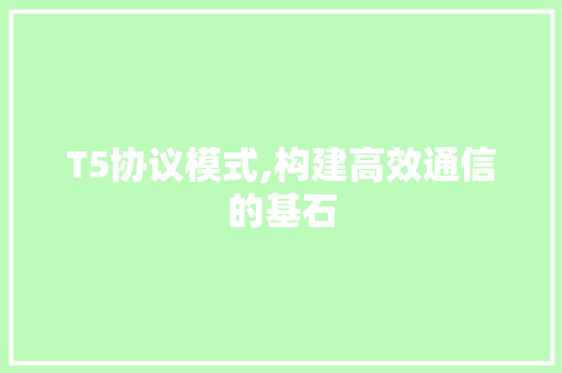T5协议模式,构建高效通信的基石