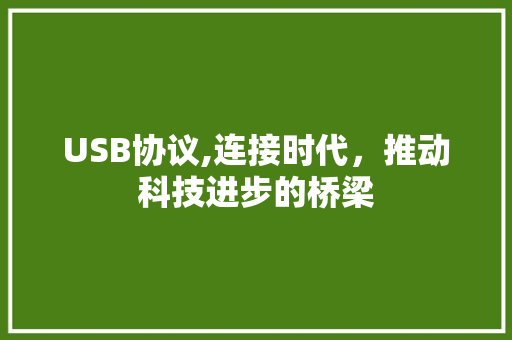USB协议,连接时代，推动科技进步的桥梁 建站教程