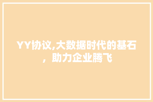 YY协议,大数据时代的基石，助力企业腾飞