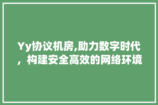 Yy协议机房,助力数字时代，构建安全高效的网络环境 服务器/数据库