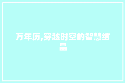万年历,穿越时空的智慧结晶 WordPress教程
