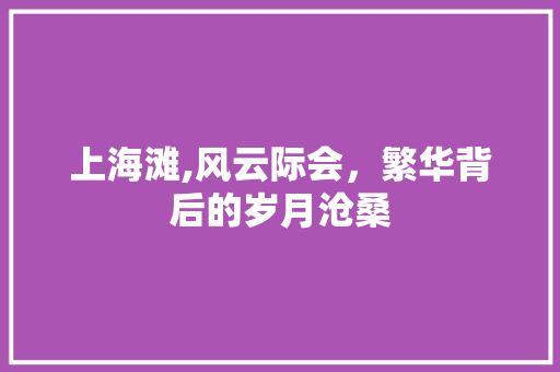 上海滩,风云际会，繁华背后的岁月沧桑 Web前端