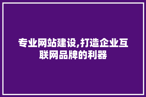 专业网站建设,打造企业互联网品牌的利器 Web前端