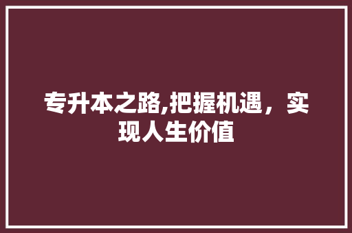 专升本之路,把握机遇，实现人生价值 WordPress教程