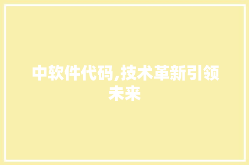 中软件代码,技术革新引领未来