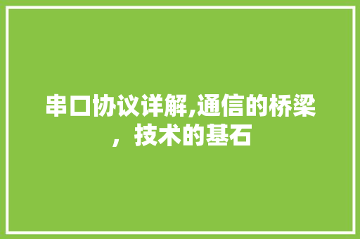 串口协议详解,通信的桥梁，技术的基石 建站教程