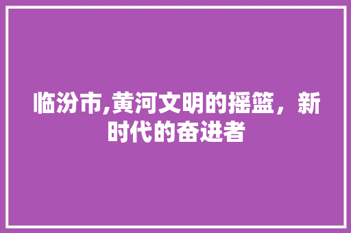 临汾市,黄河文明的摇篮，新时代的奋进者 建站教程