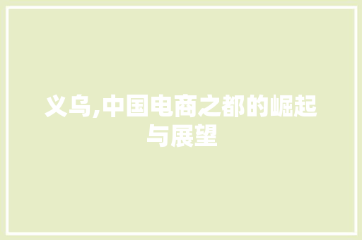 义乌,中国电商之都的崛起与展望 SEO教程