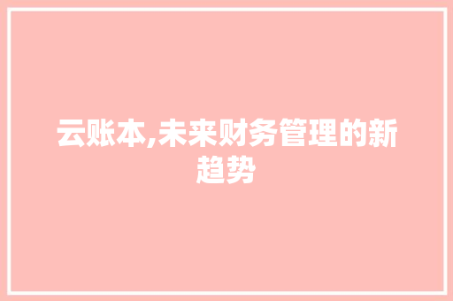 云账本,未来财务管理的新趋势 Web前端