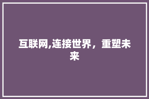 互联网,连接世界，重塑未来 WordPress教程