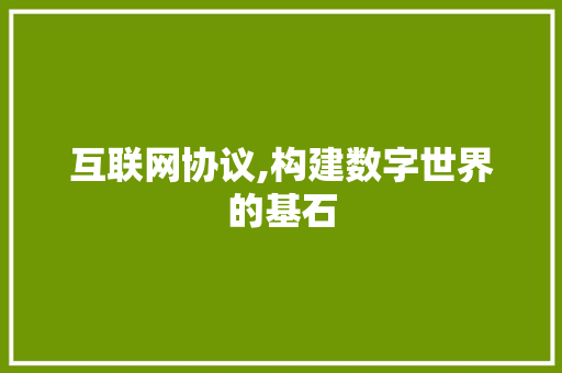 互联网协议,构建数字世界的基石 WordPress教程
