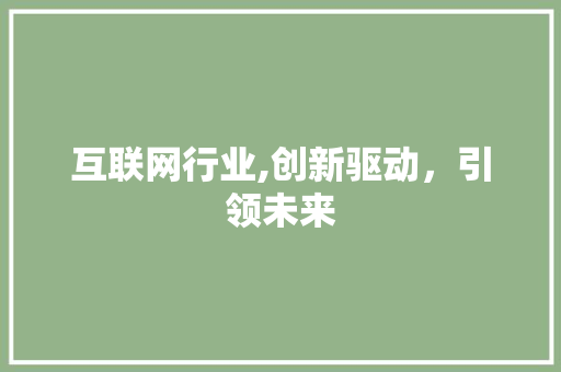 互联网行业,创新驱动，引领未来 SEO教程
