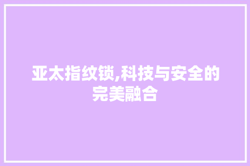 亚太指纹锁,科技与安全的完美融合 WordPress教程