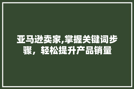 亚马逊卖家,掌握关键词步骤，轻松提升产品销量 服务器/数据库