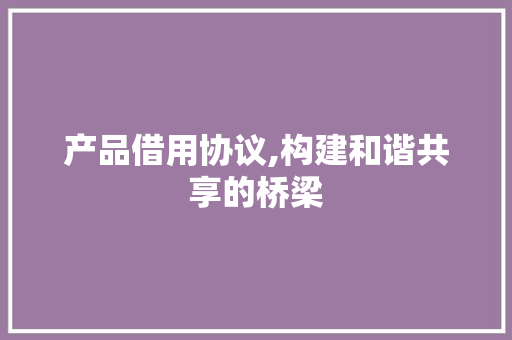 产品借用协议,构建和谐共享的桥梁 WordPress教程