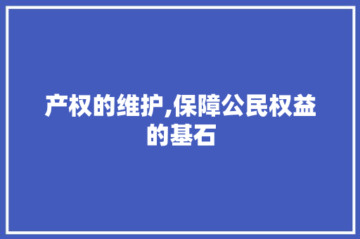 产权的维护,保障公民权益的基石 友链在线