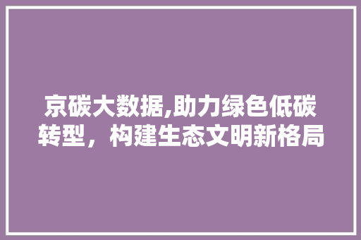 京碳大数据,助力绿色低碳转型，构建生态文明新格局 Web前端