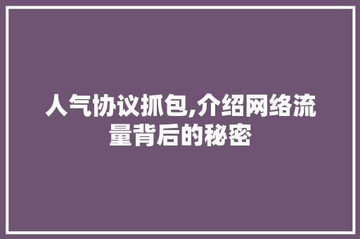 人气协议抓包,介绍网络流量背后的秘密 建站教程