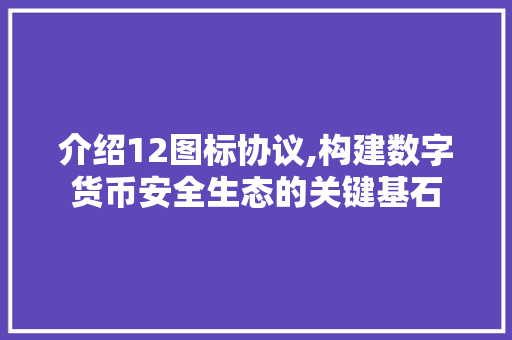 介绍12图标协议,构建数字货币安全生态的关键基石 服务器/数据库