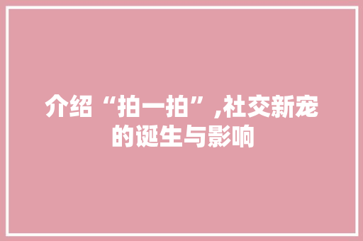 介绍“拍一拍”,社交新宠的诞生与影响 SEO教程