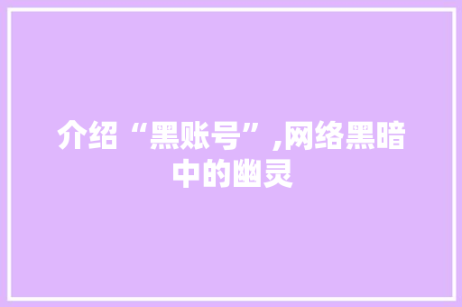 介绍“黑账号”,网络黑暗中的幽灵