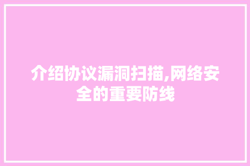 介绍协议漏洞扫描,网络安全的重要防线 WordPress教程