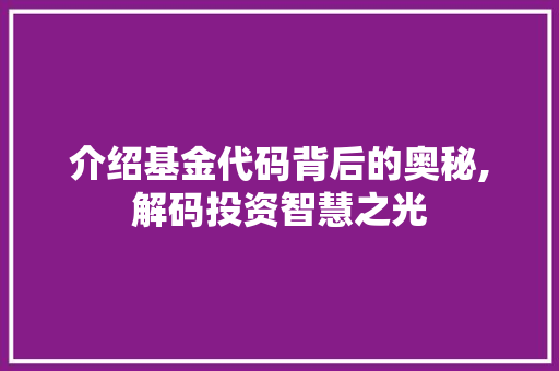 介绍基金代码背后的奥秘,解码投资智慧之光 建站教程