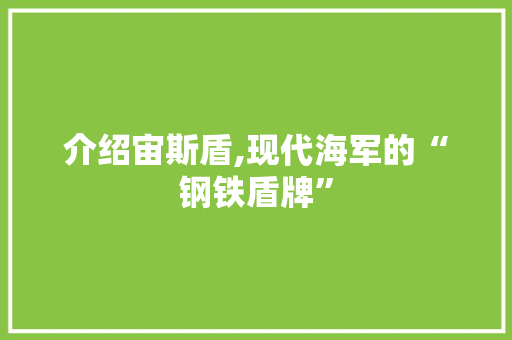 介绍宙斯盾,现代海军的“钢铁盾牌” SEO教程