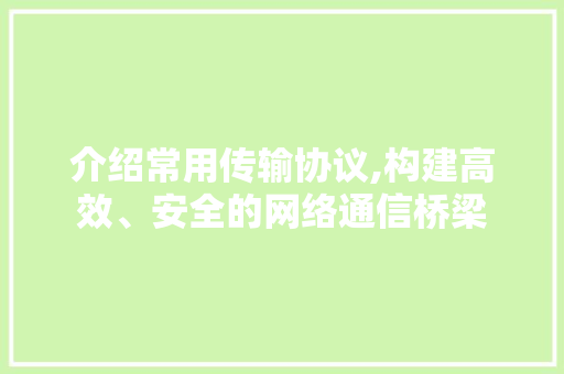 介绍常用传输协议,构建高效、安全的网络通信桥梁 建站教程