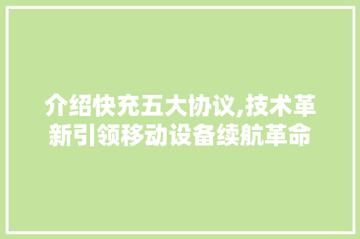 介绍快充五大协议,技术革新引领移动设备续航革命 SEO教程