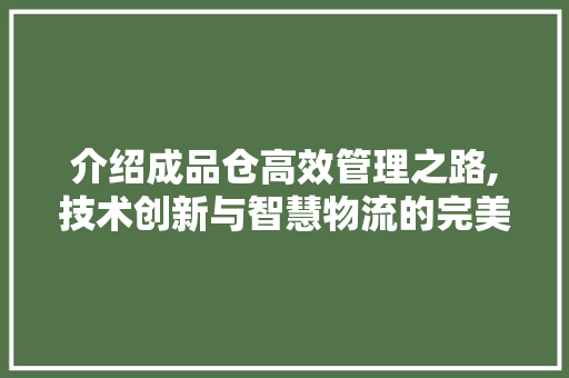 介绍成品仓高效管理之路,技术创新与智慧物流的完美融合