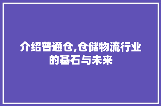 介绍普通仓,仓储物流行业的基石与未来