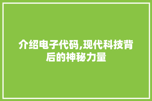 介绍电子代码,现代科技背后的神秘力量 WordPress教程