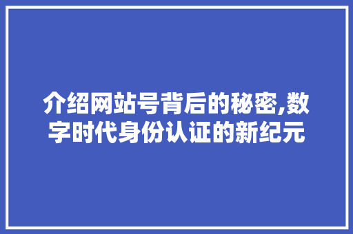 介绍网站号背后的秘密,数字时代身份认证的新纪元
