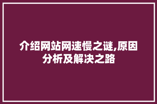 介绍网站网速慢之谜,原因分析及解决之路
