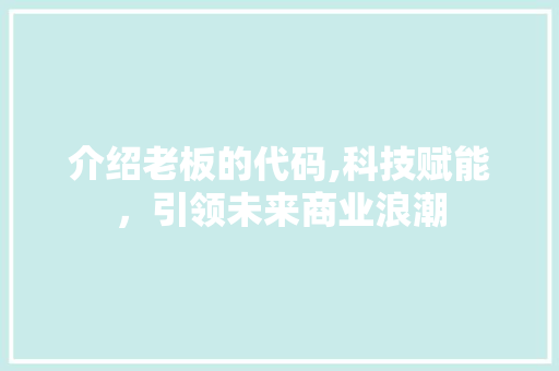 介绍老板的代码,科技赋能，引领未来商业浪潮