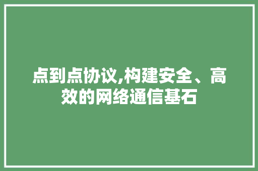 点到点协议,构建安全、高效的网络通信基石