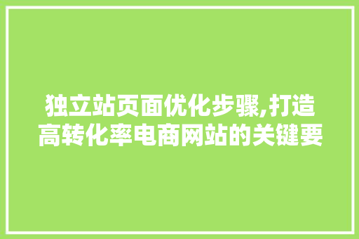 独立站页面优化步骤,打造高转化率电商网站的关键要素