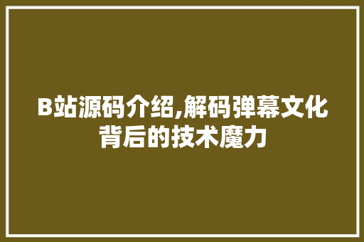B站源码介绍,解码弹幕文化背后的技术魔力