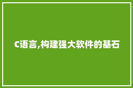 C语言,构建强大软件的基石