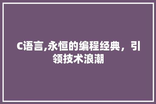 C语言,永恒的编程经典，引领技术浪潮 Web前端