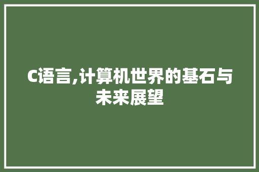 C语言,计算机世界的基石与未来展望