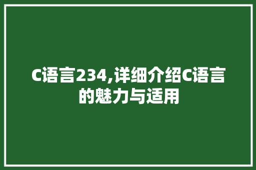 C语言234,详细介绍C语言的魅力与适用 SEO教程
