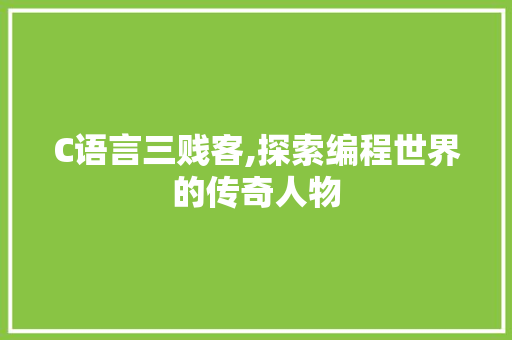 C语言三贱客,探索编程世界的传奇人物