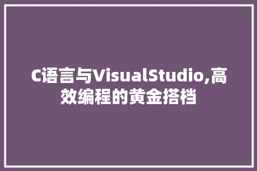 C语言与VisualStudio,高效编程的黄金搭档 服务器/数据库