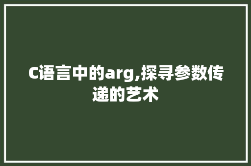 C语言中的arg,探寻参数传递的艺术 SEO教程
