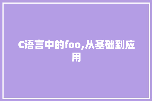 C语言中的foo,从基础到应用 WordPress教程
